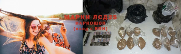 спиды Абаза