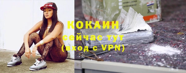 твердый Надым