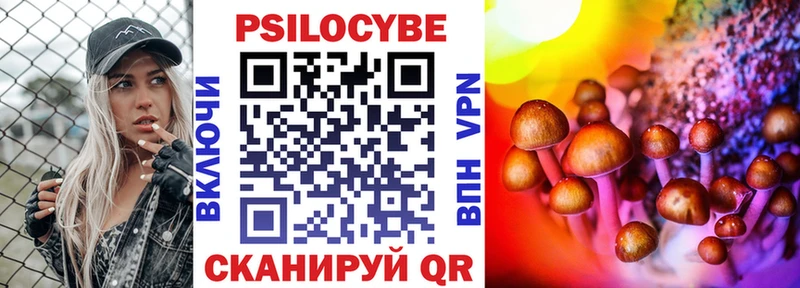 Галлюциногенные грибы Psilocybe купить закладку Пойковский